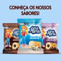 Bolinho Pullman Ana Maria 70g Baunilha