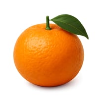 Tangerina Morcote Kg