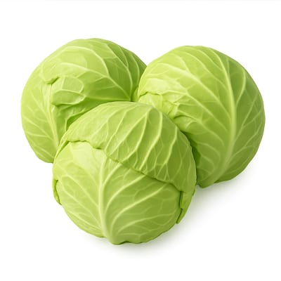 Repolho Verde Kg