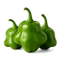 Pimenta Cambuci