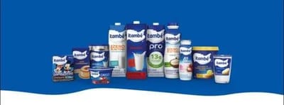 Leite Itmb 1 L Smdsntd Zero Lcts