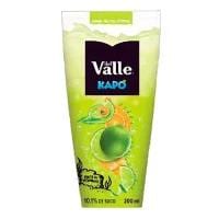 Suco Kapo 200ml Frutas Citricas