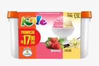 Combo Double Sundae 1 L Chocolate e Morango