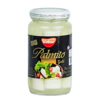 Plmt de Açaí Terra Brsl 180g Intrs