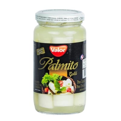 Plmt de Açaí Terra Brsl 180 g Intrs