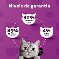 Ração Whiskas Adulto 900 g