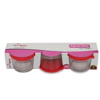 Cnjnt Pote de Vidro Brgm 280 ml
