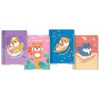 Caderno Credeal Brochurao 80f Lala